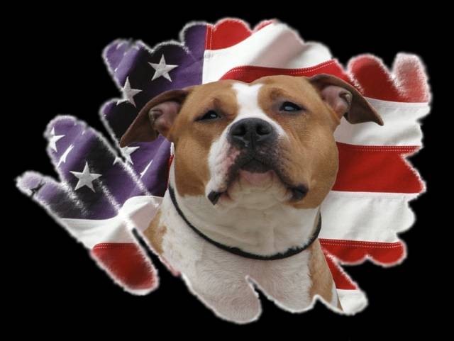 Ebhy du domein de Leiestreek