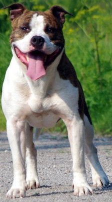 Hugo boss du domein de Leiestreek