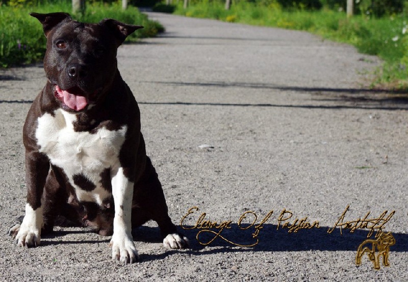 Heycka du domein de Leiestreek