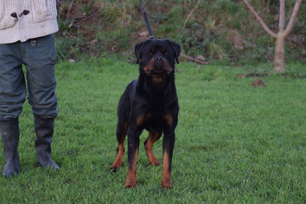 Tango Des Princes De La Ville